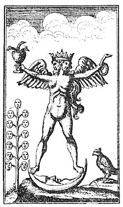 The androgyne in alchemy