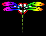 rainbow dragonfly